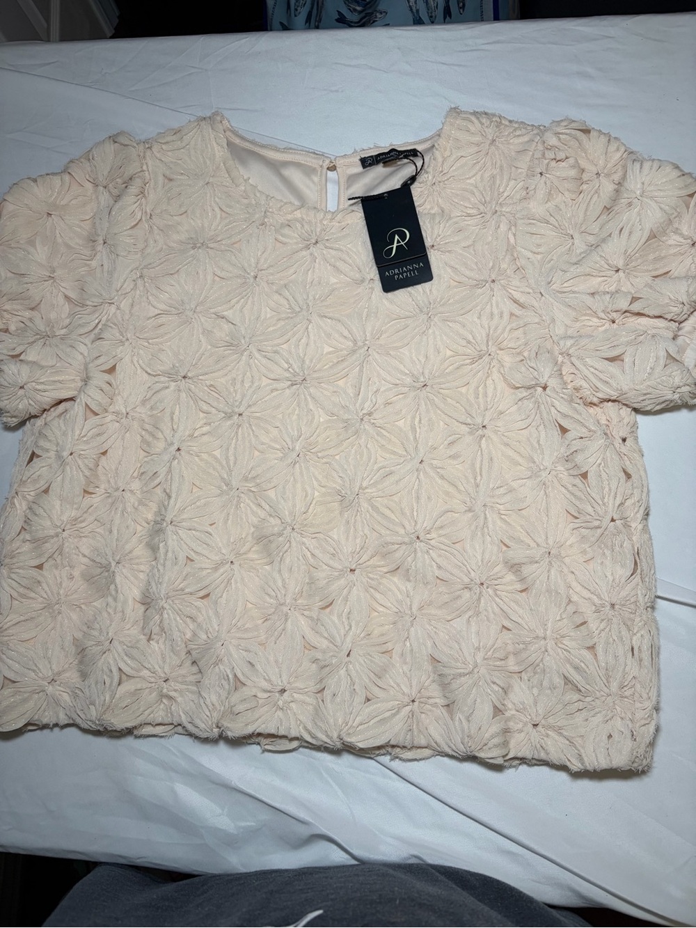 Adrianna Papell Beige, Crochet Textured , Lined  Short Sleeve,  Size M, NWT